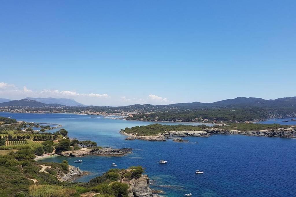 Magnifique Rez De Jardin & Piscine & Bord De Mer Apartment Six-Fours-les-Plages Luaran gambar